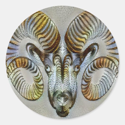 アリスヴェニス ラウンドシール (正面)