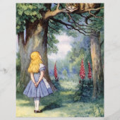 アリス・イン・ワンダーランド・チェシャーキャットスクラップブック紙 (正面)