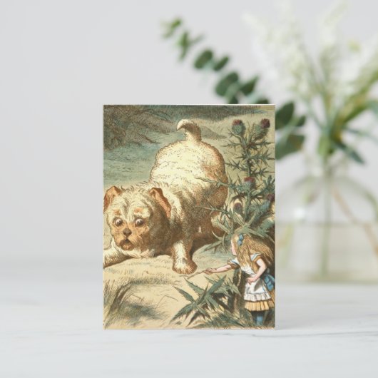 アリス ポストカード (スタンド正面)