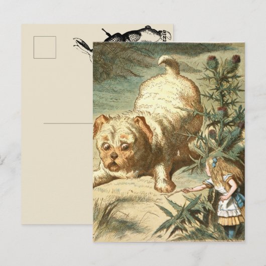 アリス ポストカード (正面/裏面)