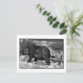 アリス・B・ウッドワード: エラスモテリウムの美術葉書 ポストカード (スタンド正面)