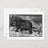 アリス・B・ウッドワード: エラスモテリウムの美術葉書 ポストカード (正面/裏面)