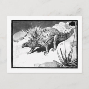 アリスB.ウッドワード：ポラカンサスの絵はがき ポストカード
