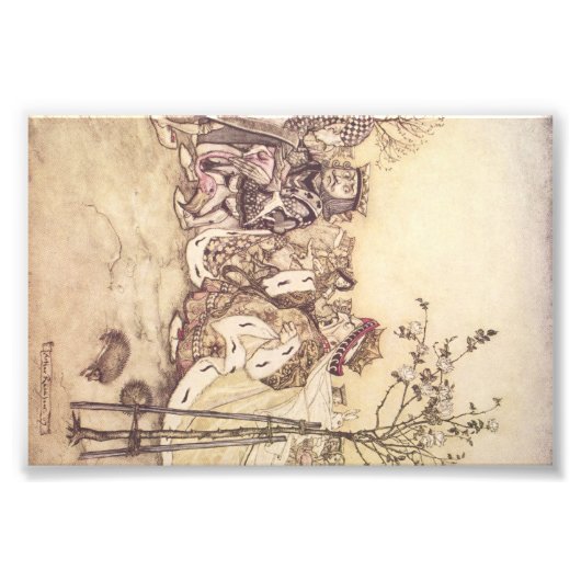 アリスin wonderlandプリント#2 フォトプリント            (正面)