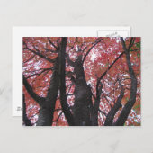 アリズパースペクティブはがき ポストカード (正面/裏面)