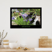 "アリソンの池" -プリント（影なし） ポスター (キッチン)