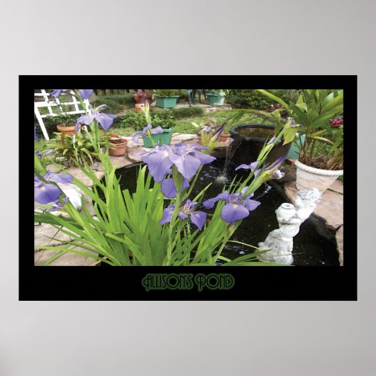 "アリソンの池" -プリント（影なし） ポスター (正面)
