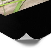 "アリソンの池" -プリント（影なし） ポスター (角)