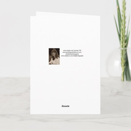 アリゾナからのメリークリスマス シーズンカード (裏面)