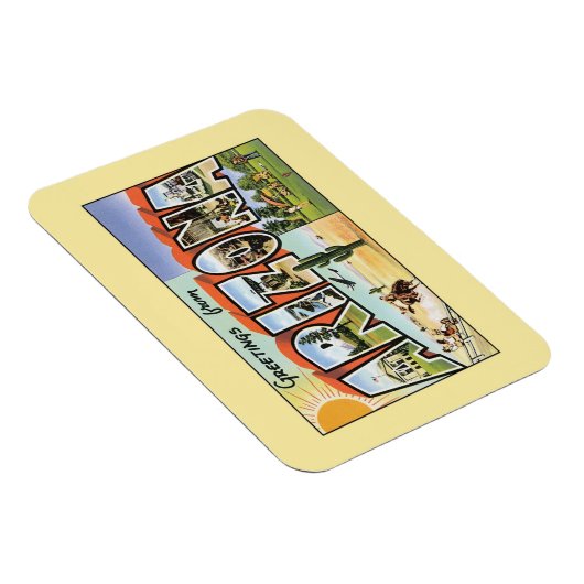 アリゾナからのヴィンテージ挨拶 マグネット (右側)