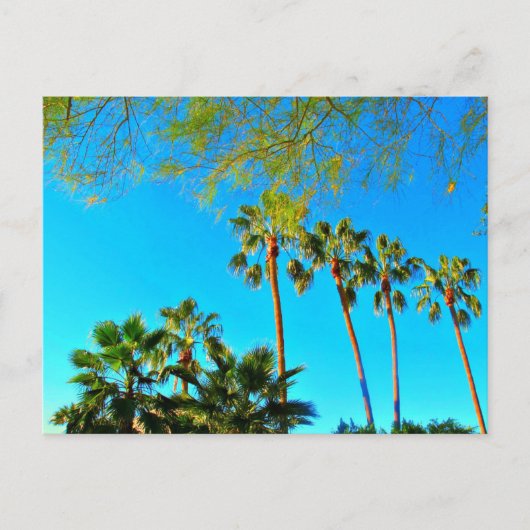 アリゾナからの挨拶！ポストカード. ポストカード (正面)