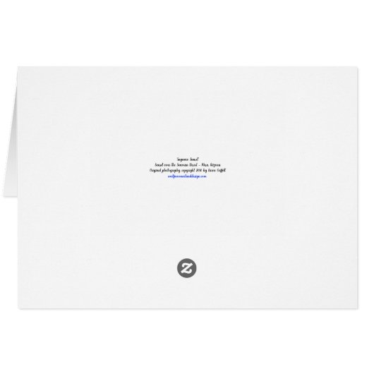 "アリゾナすばらしいです!"は 日没のSonoranの砂漠のサボテン (裏面横)