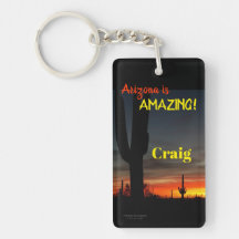 「アリゾナって凄い！」 サンセットソノランデザートサボテン