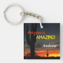 「アリゾナって凄い！」 サンセットソノランデザートサボテン