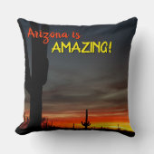 「アリゾナって凄い!」 サンセットソノランデザートサボテン クッション (正面)