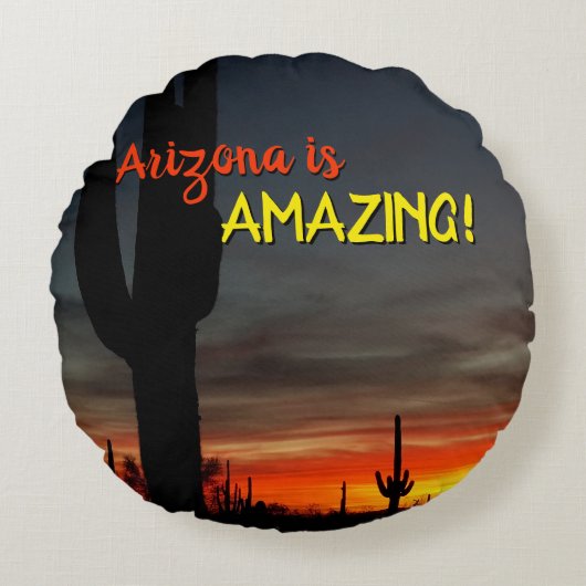 「アリゾナって凄い！」 サンセットソノランデザートサボテン ラウンドクッション (正面)
