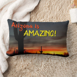 「アリゾナって凄い！」 サンセットソノランデザートサボテン ランバークッション