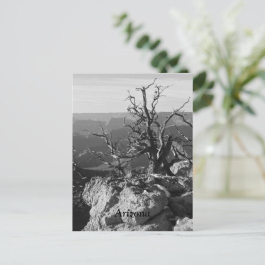 アリゾナで1人 ポストカード (スタンド正面)