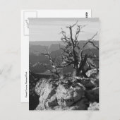 アリゾナで1人 ポストカード (正面/裏面)