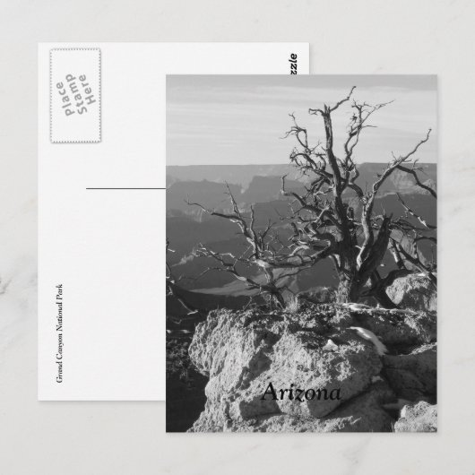 アリゾナで1人 ポストカード (正面/裏面)