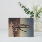 アリゾナのはがき!!! ポストカード (スタンド正面)