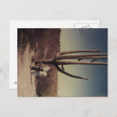 アリゾナのはがき!!! ポストカード (正面/裏面)