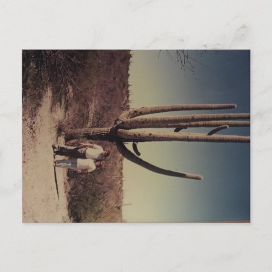 アリゾナのはがき!!! ポストカード (正面)