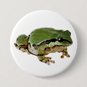アリゾナのアマガエルのクローズアップの写真 缶バッジ (正面)