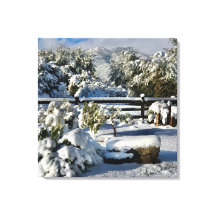 アリゾナのアンチャールズ・スノイ・デイ