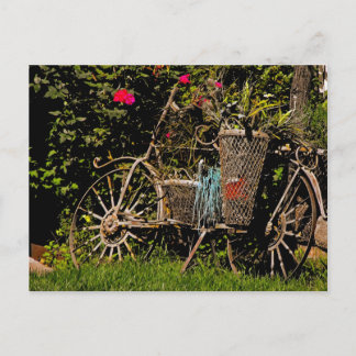 アリゾナのアンティーク ポストカード