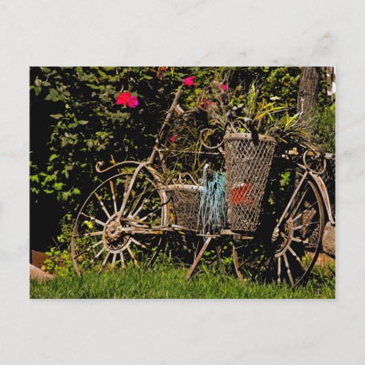 アリゾナのアンティーク ポストカード (正面)