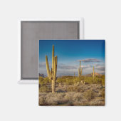 アリゾナのサボテンの夕日 マグネット (正面/裏面)