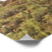 アリゾナのサボテンの風景 ポスター (角)