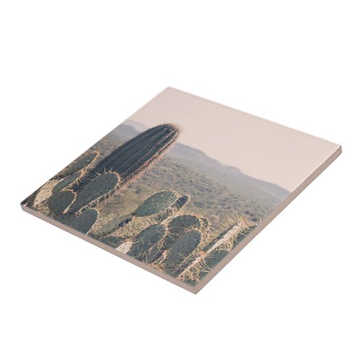 アリゾナのサボテン|の砂漠のボヘミアの景色の写真 タイル (側面)