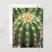 アリゾナのサボテン ポストカード (正面/裏面)