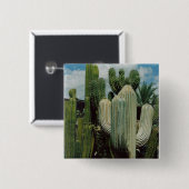 アリゾナのサボテン 缶バッジ (正面&裏面)