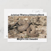 アリゾナのヘビ ポストカード (正面/裏面)