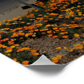 アリゾナの地球儀で咲くオレンジ色のケシ ポスター (角)