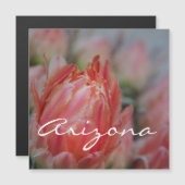 アリゾナの夏の開花 (正面/裏面)