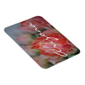 アリゾナの夏の開花 マグネット (右側)