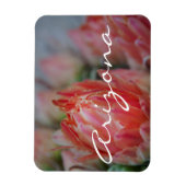 アリゾナの夏の開花 マグネット (縦)