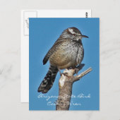 アリゾナの州鳥 ポストカード (正面/裏面)