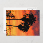 アリゾナの日没 ポストカード (正面/裏面)