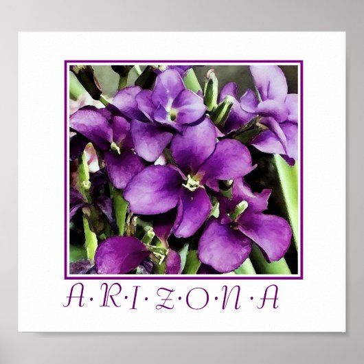 アリゾナの紫の花のプリント ポスター (正面)