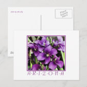 アリゾナの紫の花 はがき (正面/裏面)