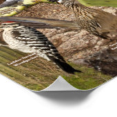 アリゾナの裏庭の鳥IDポスター ポスター (角)