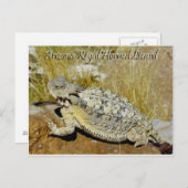 アリゾナの豪奢なツノトカゲ ポストカード (正面/裏面)