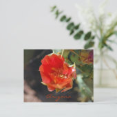 アリゾナの郵便はがき ポストカード (スタンド正面)