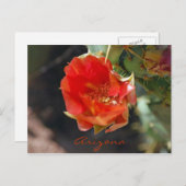 アリゾナの郵便はがき ポストカード (正面/裏面)