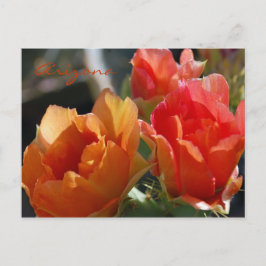 アリゾナの郵便はがき ポストカード